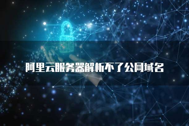 阿里云服务器解析不了公网域名