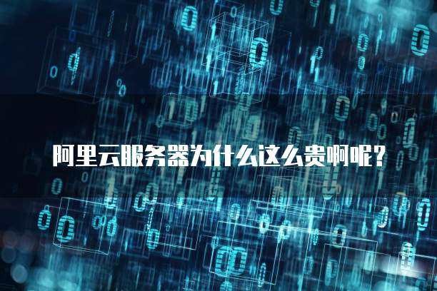 阿里云服务器为什么这么贵啊呢?