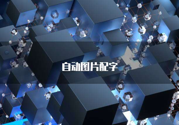 钉钉企业版费用怎么退?解析钉钉退款政策