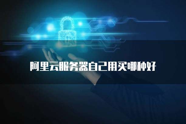 阿里云服务器自己用买哪种好