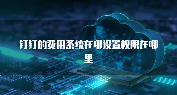 钉钉的费用系统在哪设置权限在哪里