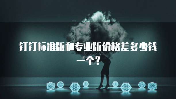 钉钉标准版和专业版价格差多少钱一个?