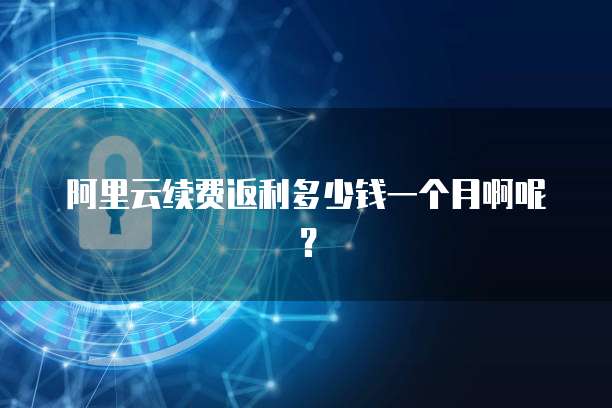 阿里云续费返利多少钱一个月啊呢?