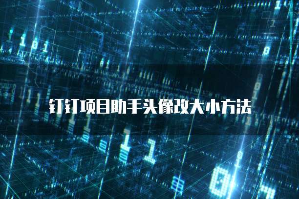 钉钉项目助手头像改大小方法