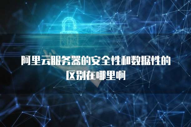 阿里云服务器的安全性和数据性的区别在哪里啊