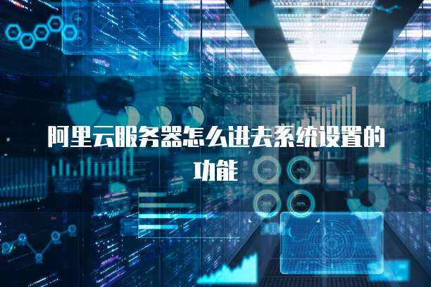 阿里云服务器怎么进去系统设置的功能