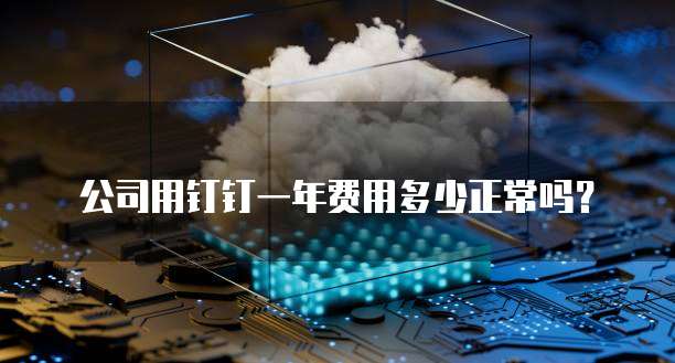 公司用钉钉一年费用多少正常吗?