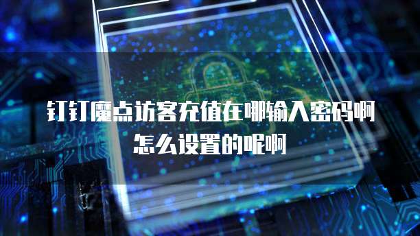 钉钉魔点访客充值在哪输入密码啊怎么设置的呢啊