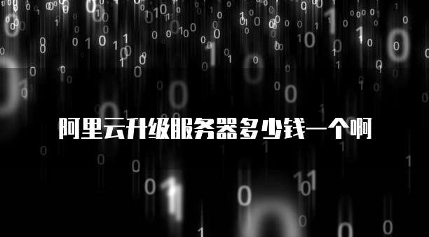 阿里云升级服务器多少钱一个啊