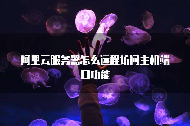 阿里云服务器怎么远程访问主机端口功能