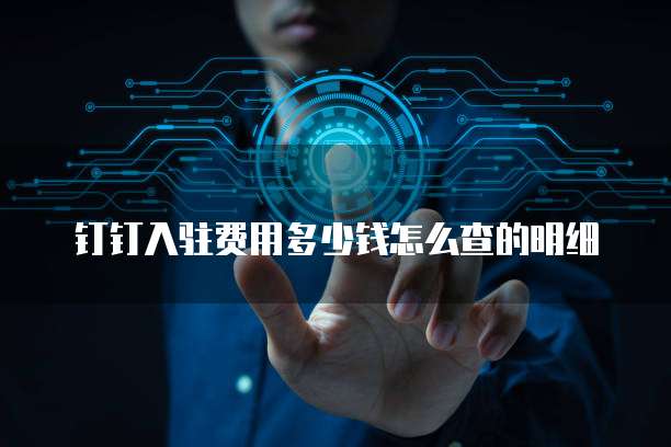 钉钉入驻费用多少钱怎么查的明细