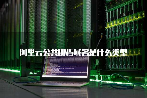 阿里云公共DNS域名是什么类型