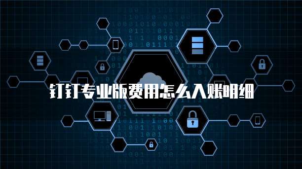 钉钉专业版费用怎么入账明细