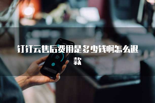 钉钉云售后费用是多少钱啊怎么退款