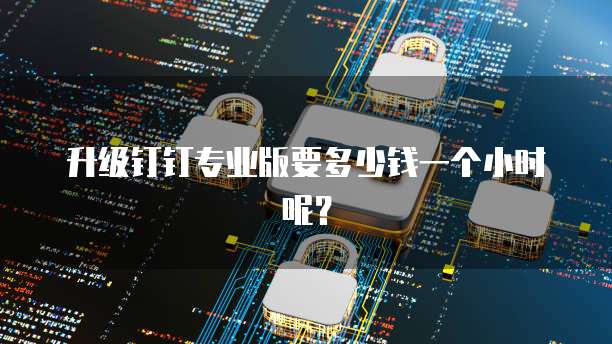 升级钉钉专业版要多少钱一个小时呢?