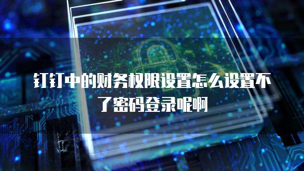 钉钉中的财务权限设置怎么设置不了密码登录呢啊