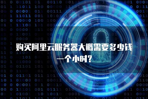 购买阿里云服务器大概需要多少钱一个小时?