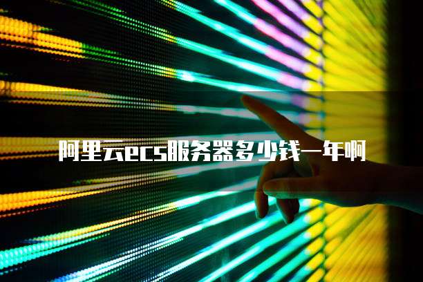 阿里云ecs服务器多少钱一年啊