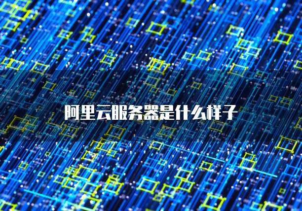 阿里云服务器是什么样子