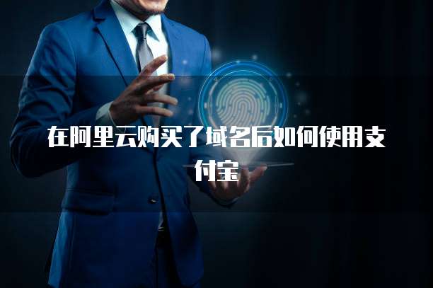 在阿里云购买了域名后如何使用支付宝