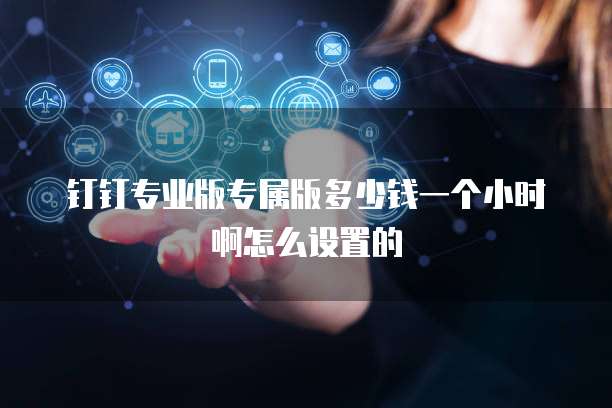 钉钉专业版专属版多少钱一个小时啊怎么设置的