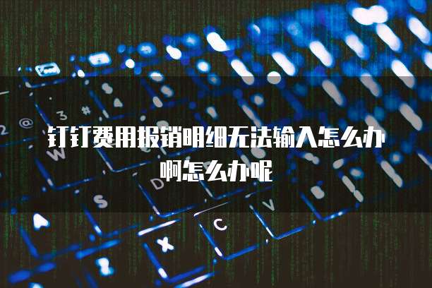钉钉费用报销明细无法输入怎么办啊怎么办呢