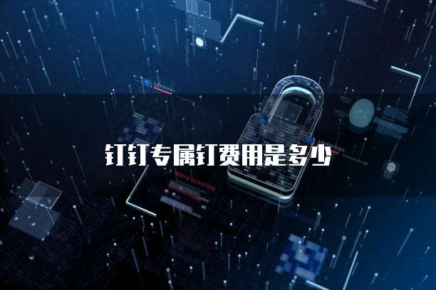 钉钉专属钉费用是多少
