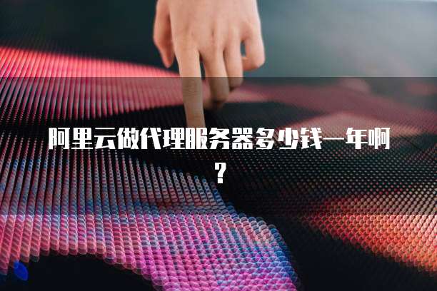 阿里云做代理服务器多少钱一年啊?