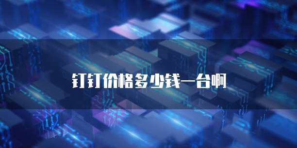 钉钉价格多少钱一台啊