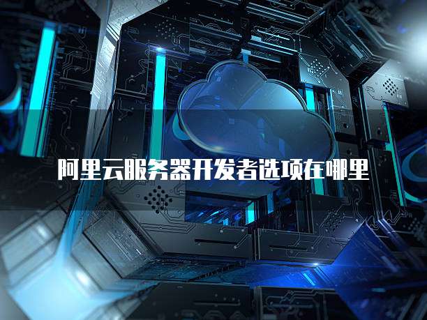 阿里云服务器开发者选项在哪里