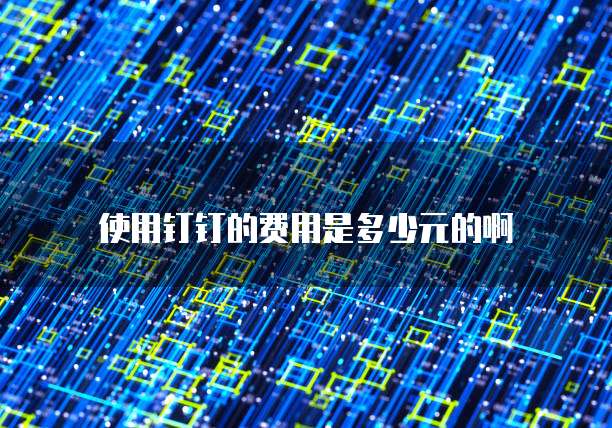使用钉钉的费用是多少元的啊