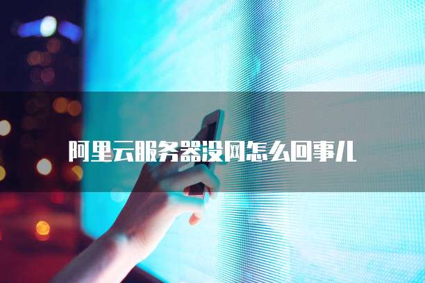 阿里云服务器没网怎么回事儿