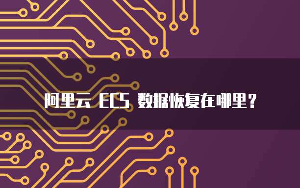 阿里云 ECS 数据恢复在哪里?
