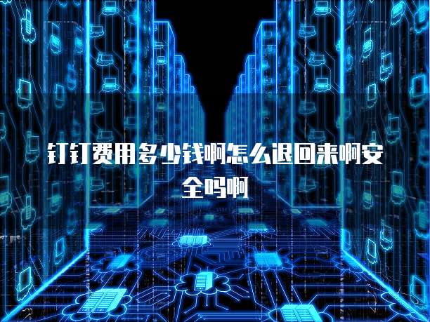 钉钉费用多少钱啊怎么退回来啊安全吗啊