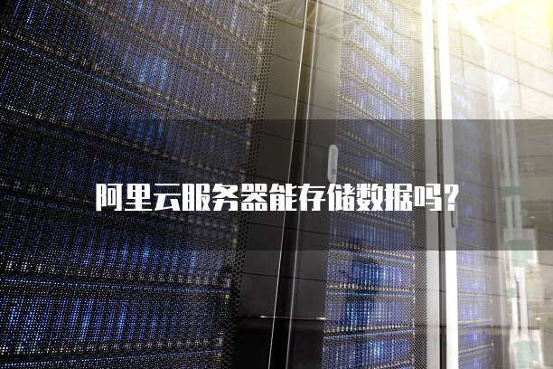 阿里云服务器能存储数据吗?