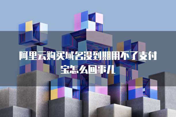 阿里云购买域名没到期用不了支付宝怎么回事儿