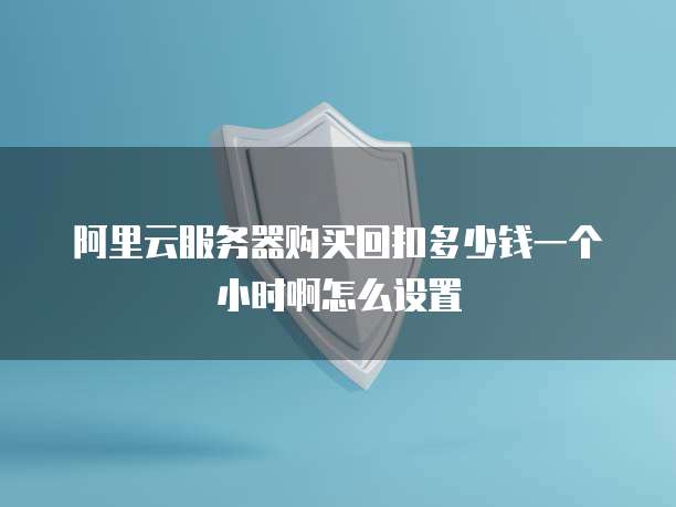阿里云服务器购买回扣多少钱一个小时啊怎么设置