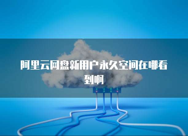 阿里云网盘新用户永久空间在哪看到啊