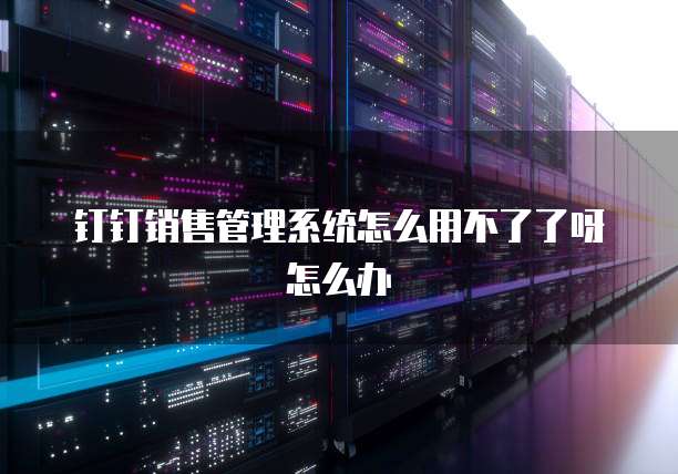 钉钉销售管理系统怎么用不了了呀怎么办