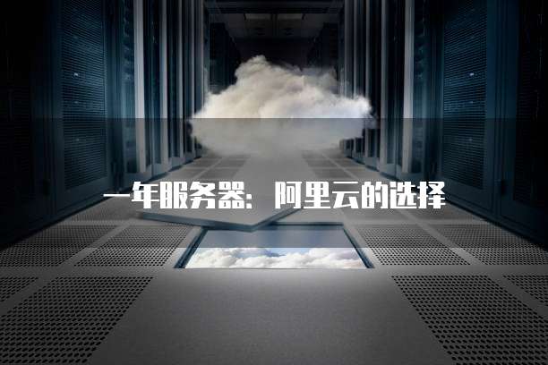 一年服务器:阿里云的选择