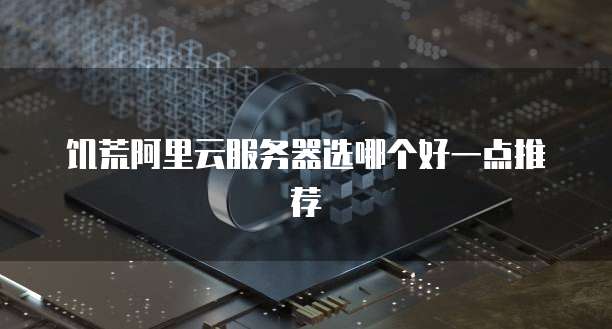 饥荒阿里云服务器选哪个好一点推荐