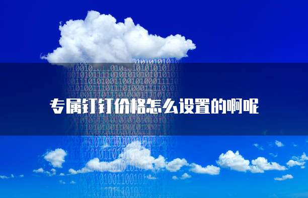 专属钉钉价格怎么设置的啊呢