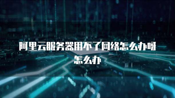 阿里云服务器用不了网络怎么办呀怎么办