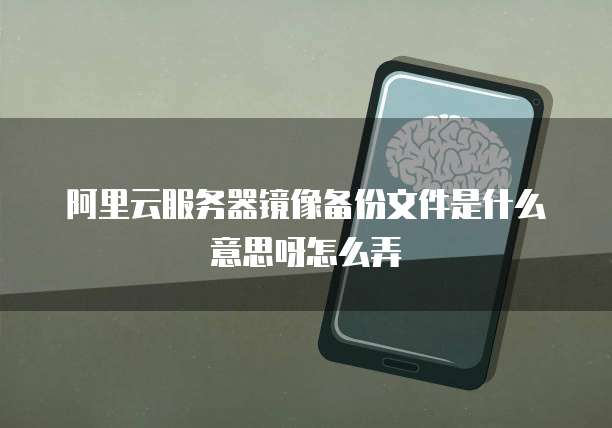 阿里云服务器镜像备份文件是什么意思呀怎么弄