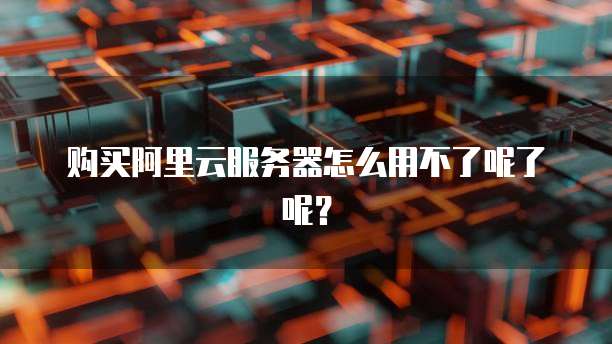 购买阿里云服务器怎么用不了呢了呢?