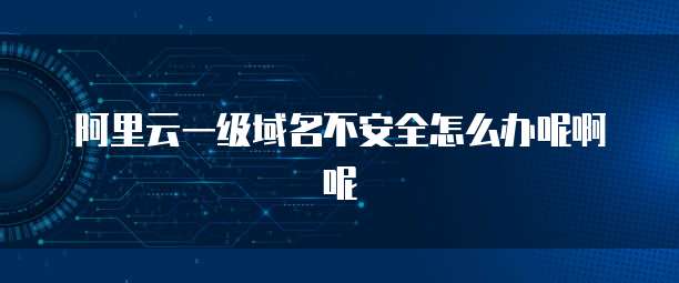 阿里云一级域名不安全怎么办呢啊呢