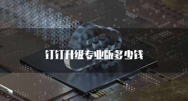 钉钉升级专业版多少钱