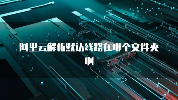 阿里云解析默认线路在哪个文件夹啊
