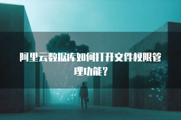阿里云数据库如何打开文件权限管理功能?