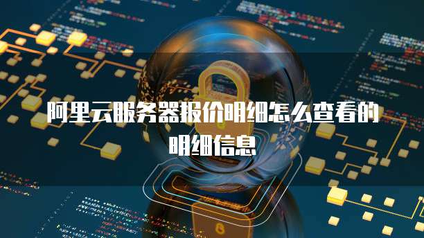 阿里云服务器报价明细怎么查看的明细信息